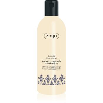 Ziaja Kuracja Ceramidowa szampon intensywnie odbudowujący 300 ml