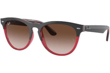 Ray-Ban Iris RB4471 663113 ONE SIZE (54)