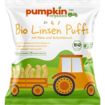 Pumpkin Organics BIO ser cheddar i szczypiorek chrupki 20 g