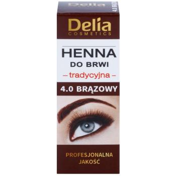 Delia Cosmetics Henna farbka do brwi odcień 4.0 Brown 2 g + 2 ml