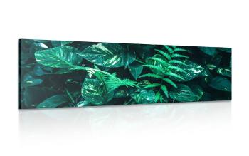 Obraz świeże tropikalne liście - 120x40