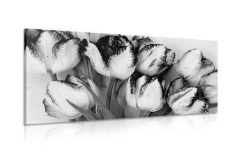 Obraz tulipany w wiosennej odsłonie w wersji czarno-białej - 120x60