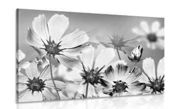 Obraz letnie kwiaty w wersji czarno-białej - 90x60