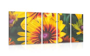 5-częściowy obraz atrakcyjne dwukolorowe kwiaty - 100x50