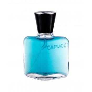 Roberto Capucci Blu Water 100 ml woda perfumowana dla mężczyzn