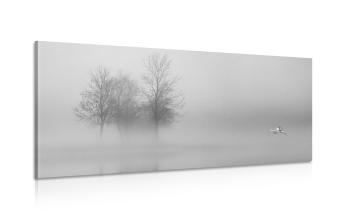 Obraz drzewa we mgle w wersji czarno-białej