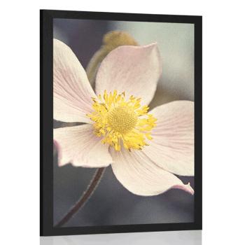 Plakat delikatność kwiatu - 20x30 white