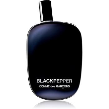 Comme des Garçons Blackpepper woda perfumowana unisex 100 ml