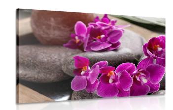 Obraz piękne orchidee i kamienie Zen