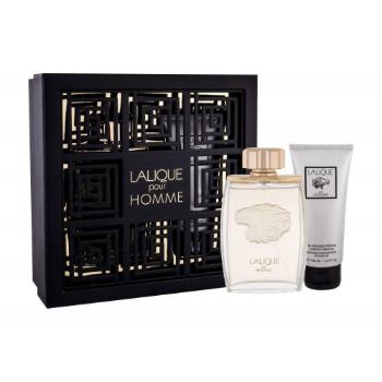 Lalique Pour Homme zestaw Edp 125ml + 100ml Żel pod prysznic dla mężczyzn