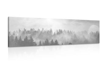 Obraz mgła nad lasem w wersji czarno-białej - 120x40