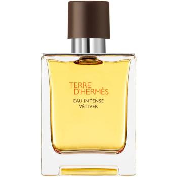 HERMÈS Terre d’Hermès Eau Intense Vétiver woda perfumowana dla mężczyzn 50 ml
