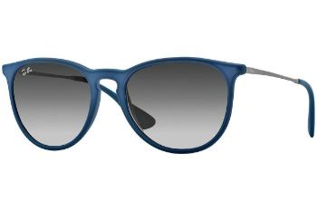 Ray-Ban Erika Color Mix RB4171 60028G ONE SIZE (54)