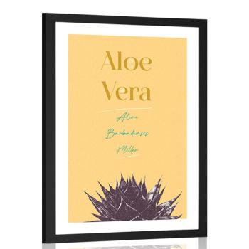 Plakat passepartout ze stylowym napisem Aloe Vera - 40x60 silver