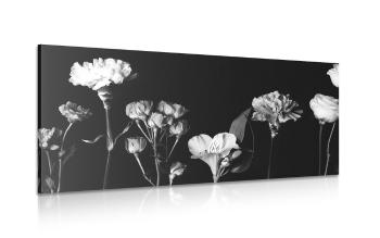 Obraz eleganckie czarno-białe kwiaty - 100x50