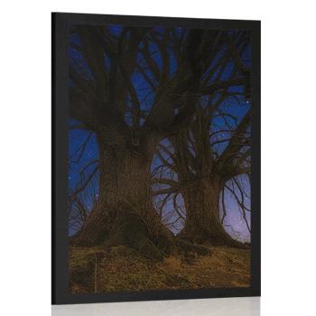 Plakat drzewa w nocnym krajobrazie - 30x45 black