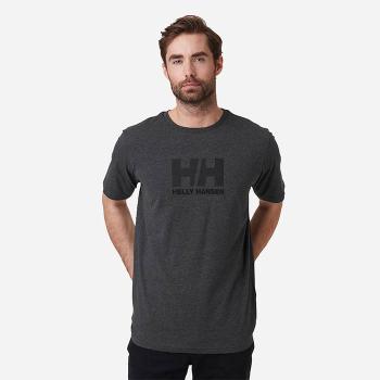 Koszulka męska Helly Hansen Logo T-Shirt 33979 982