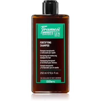 Framesi Barber Gen Fortifying wzmacniający szampon do przerzedzonych włosów z tendencją do wypadania 250 ml