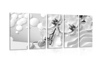 5-częściowy obraz czarno-biała orchidea na abstrakcyjnym tle