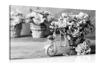 Obraz romantyczny goździk w stylu vintage w wersji czarno-białej - 120x80