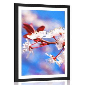 Plakat z passe-partout Kwiat wiśni - 60x90 white