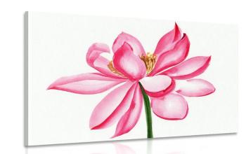 Obraz akwarela kwiat lotosu - 120x80