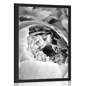 Plakat czarno-białe płatki kwiatów - 40x60 white
