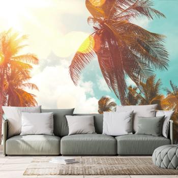 Samoprzylepna tapeta promienie słońca między palmami - 150x100