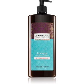 Arganicare Argan Oil & Shea Butter szampon do włosów suchych i zniszczonych 750 ml