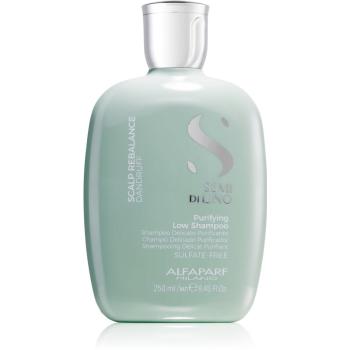 Alfaparf Milano Semi Di Lino Scalp Rebalance delikatny szampon oczyszczający przeciw łupieżowi 250 ml