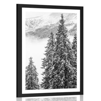 Plakat z passe-partout ośnieżone sosny w czerni i bieli - 40x60 white