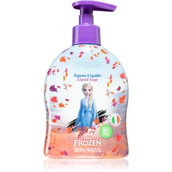 Disney Frozen Liquid Soap mydło w płynie 250 ml