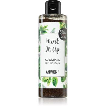 Anwen Mint It Up szampon złuszczający 200 ml