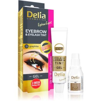 Delia Cosmetics Eyebrow Expert farba na brwi i rzęsy z aktywatorem odcień 1.1. Graphite 2 x 15 ml