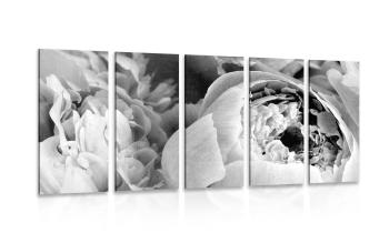 5-częściowy obraz płatki kwiatów czarno-białe - 100x50