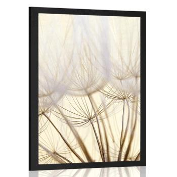 Plakat nasiona dmuchawca - 40x60 white
