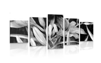 5-częściowy obraz przebudzenie lilii w czarnobiałym kolorze - 100x50