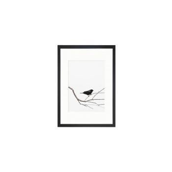 Obraz Tablo Center Birdy, 24x29 cm