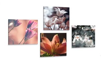 Zestaw obrazów delikatność kwiatów - 4x 40x40