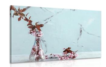 Obraz gałązka wiśni w wazonie - 120x80