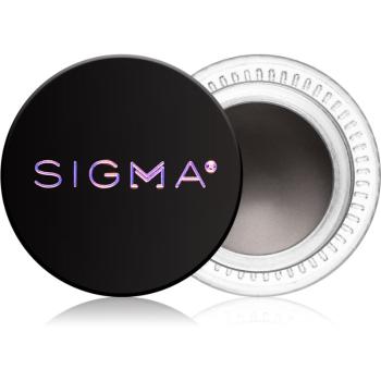 Sigma Beauty Define + Pose Brow Pomade pomada do brwi odcień Dark 2 g