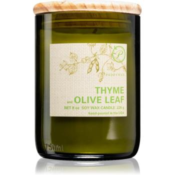 Paddywax Eco Green Thyme & Olive Leaf świeczka zapachowa 226 g