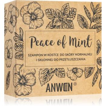 Anwen Peace of Mint szampon w kostce in alu can 75 g