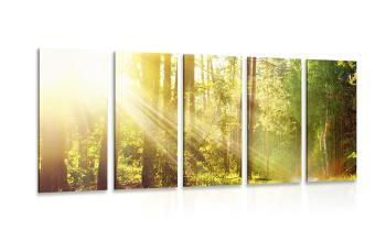 5-częściowy obraz promienie słońca w lesie - 100x50