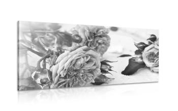 Obraz kwitnące róże w wersji czarno-białej - 120x60