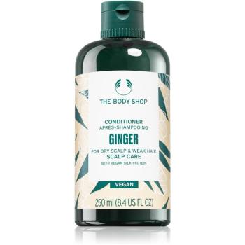 The Body Shop Ginger odżywka do skóry suchej 250 ml