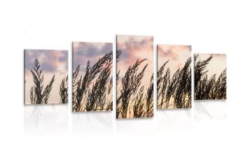 5-częściowy obraz trawa o zachodzie słońća - 100x50