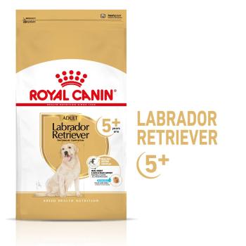 ROYAL CANIN Labrador Retriever 5+ Adult 3 kg karma sucha dla dojrzałych psów rasy Labrador retriever, powyżej 5 roku życia