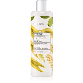 Vis Plantis Herbal Vital Care Pumpkin Seed Oil szampon do włosów osłabionych i zniszczonych 400 ml