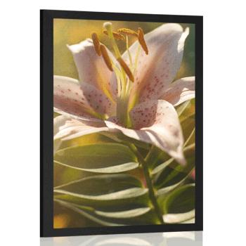 Plakat piękny kwiat z akcentem retro - 40x60 silver